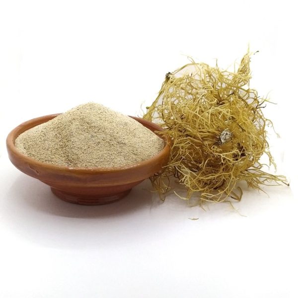 Gold Sea Moss Powder | 100% Natural Grown